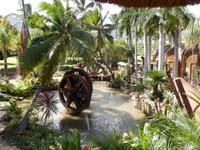 Maui Tropical Plantation