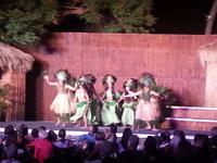 Luau Abend 