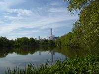 Central Park - NY