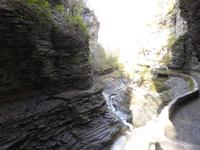 Watkins Glen State Park