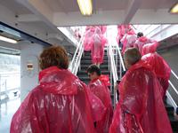 mit der Hornblower direkt an die Fälle