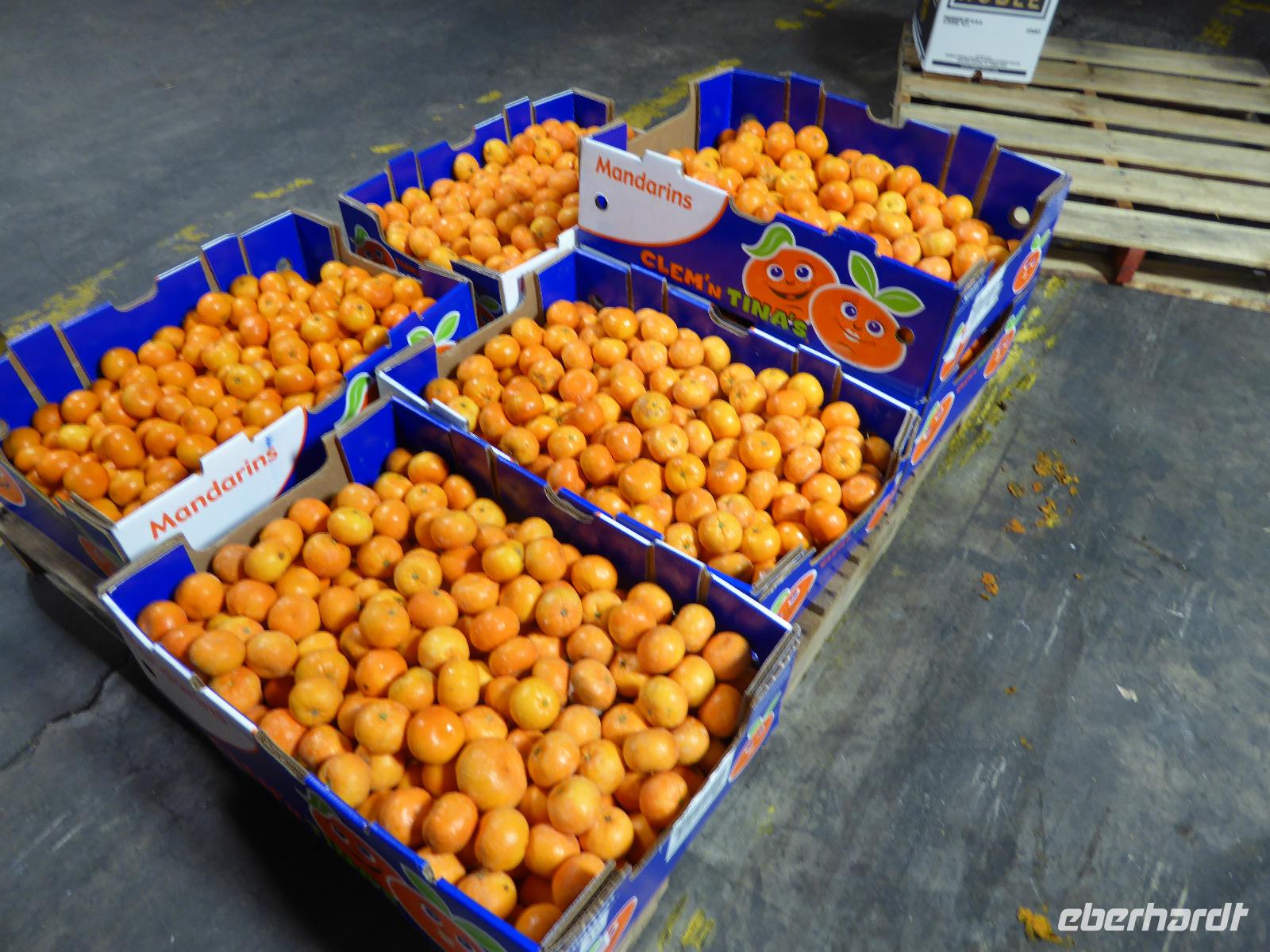 Verpackungsfabrik für Orangen