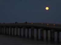 Vollmond am Miami Beach