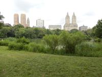 Central Park