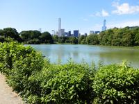 Central Park
