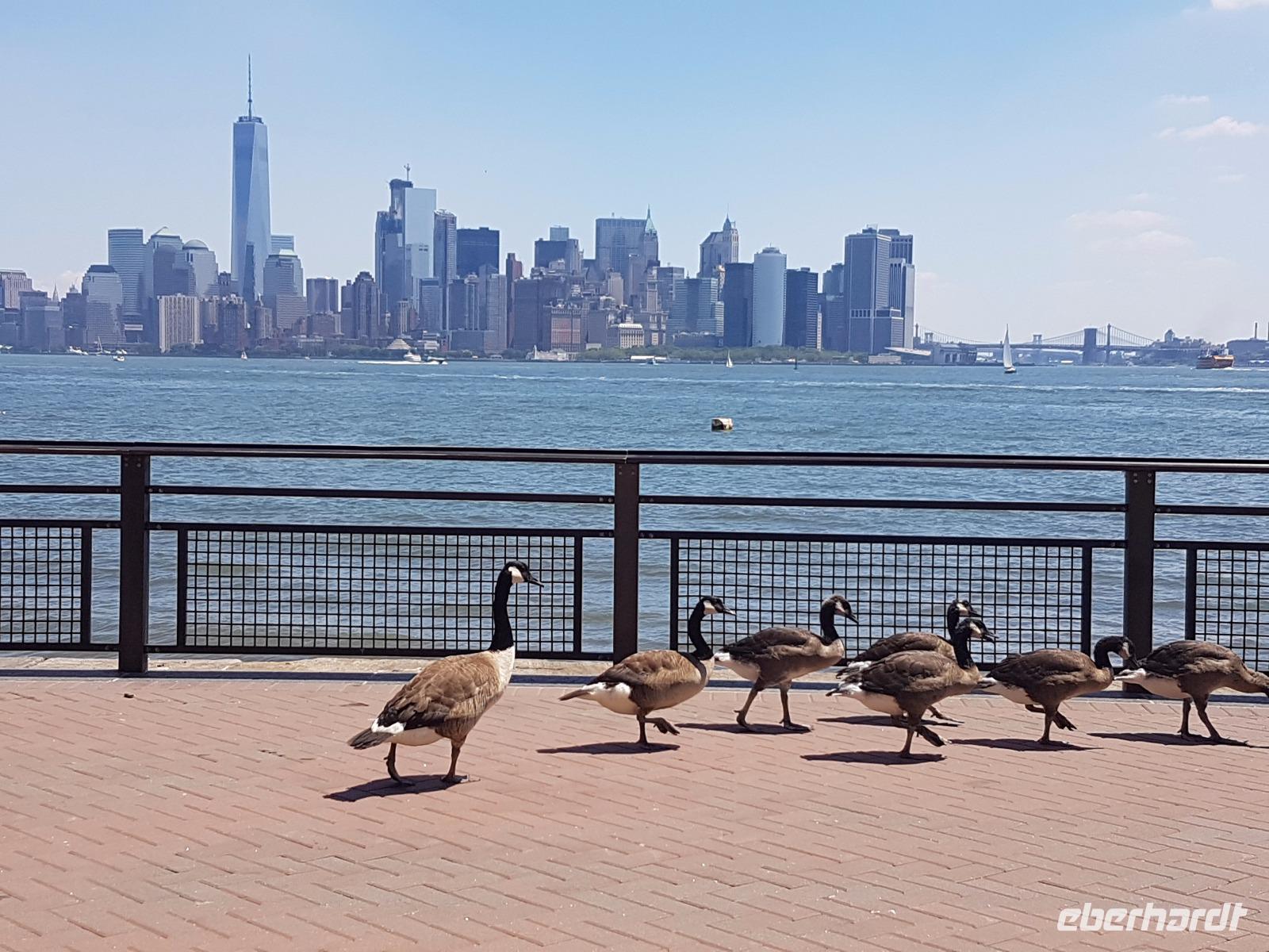 Skyline von Manhattan von Liberty Island 