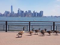 Skyline von Manhattan von Liberty Island 