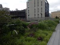 High Line 