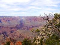 Gand Canyon Nationalpark