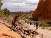 Wanderung im Arches Nationalpark