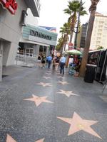 Walk of Fame in Hollywood