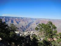 am Rand des Grand Canyon