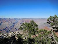 am Rande des Grand Canyons
