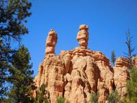 Salz & Pfefferstreuer im Dixie Forest