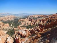Blauer Himmel & Bryce Canyon