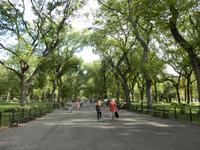 Central Park