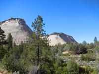 Schachbrettmuster auf den Steinen des Zion Nationalparks