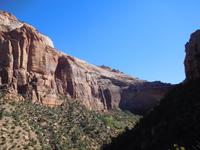 Felsen im Zion Nationalpark