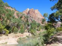 Fluss und Vegetation - Zion Nationalpark