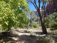 Spaziergang im Zion Nationalpark