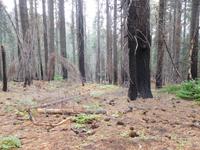 Catharina nannte es den 