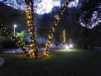 Lichterketten am Abend - Yosemite Nationalpark