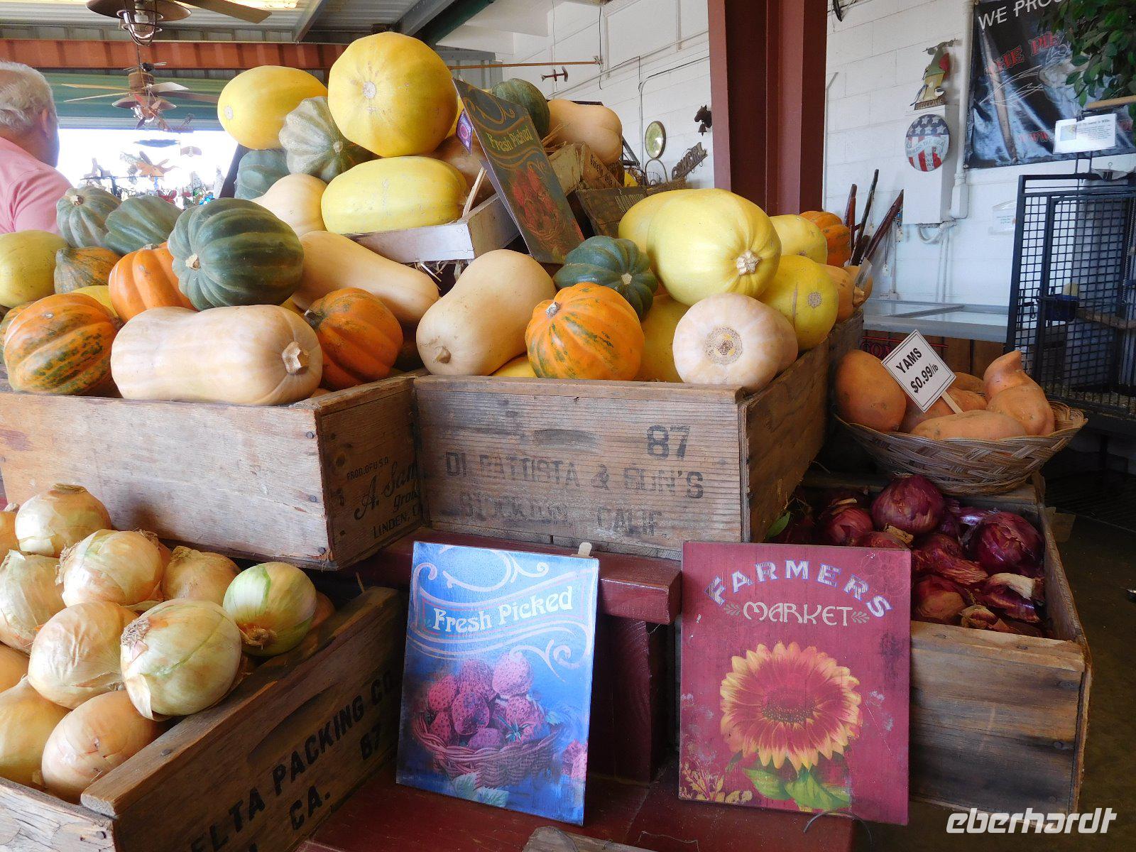 Kürbiszeit in den USA