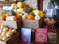 Kürbiszeit in den USA