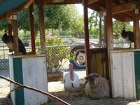 Toilettenpause bei einer Tierrettung