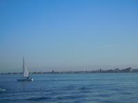 Segelboot in der Bucht von San Francisco