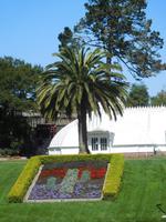 im Golden Gate Park - San Francisco