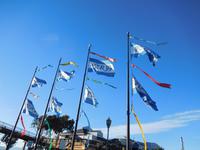 Freizeit am Pier 39 - San Francisco