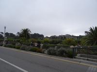 San Francisco - Golden Gate Park