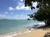 Oahu - Chinesenhut