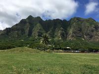 Oahu - Kualoa Ranch