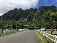 Oahu - Kualoa Ranch