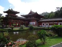 Oahu - Byodo-In Tempel 