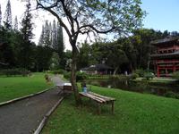 Oahu - Byodo-In Tempel 