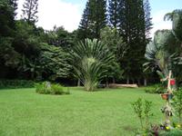 Oahu - Byodo-In Tempel 