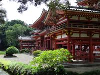 Oahu - Byodo-In Tempel 