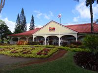 Oahu - Dole Plantage