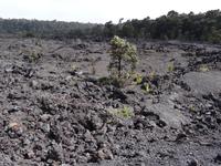 Big Island - Volcanoes National Park 