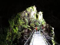 Big Island - Lava Thurston Tube
