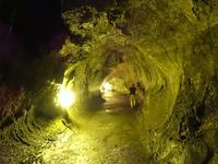 Big Island - Lava Thurston Tube