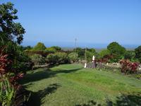 Big Island - Aussicht auf die Kealakekua-Bucht