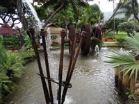 Maui - Tropical Plantation 