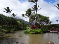 Maui - Tropical Plantation 