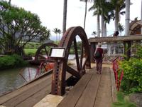 Maui - Tropical Plantation 
