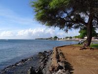Maui - Lahaina