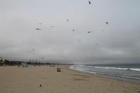 Los Angeles - Santa Monica Beach